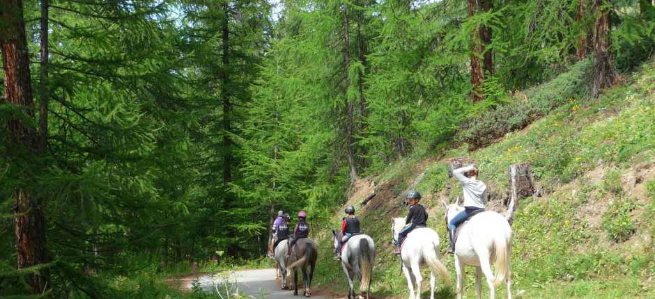 Espace loisirs des Amoureux : activités été, parc aventure, cheval, luge d'été à Saint-Veran Queyras